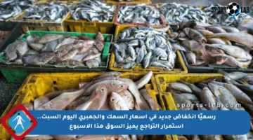 رسميًا انخفاض جديد في أسعار السمك والجمبري اليوم السبت.. استمرار التراجع يميز السوق هذا الأسبوع